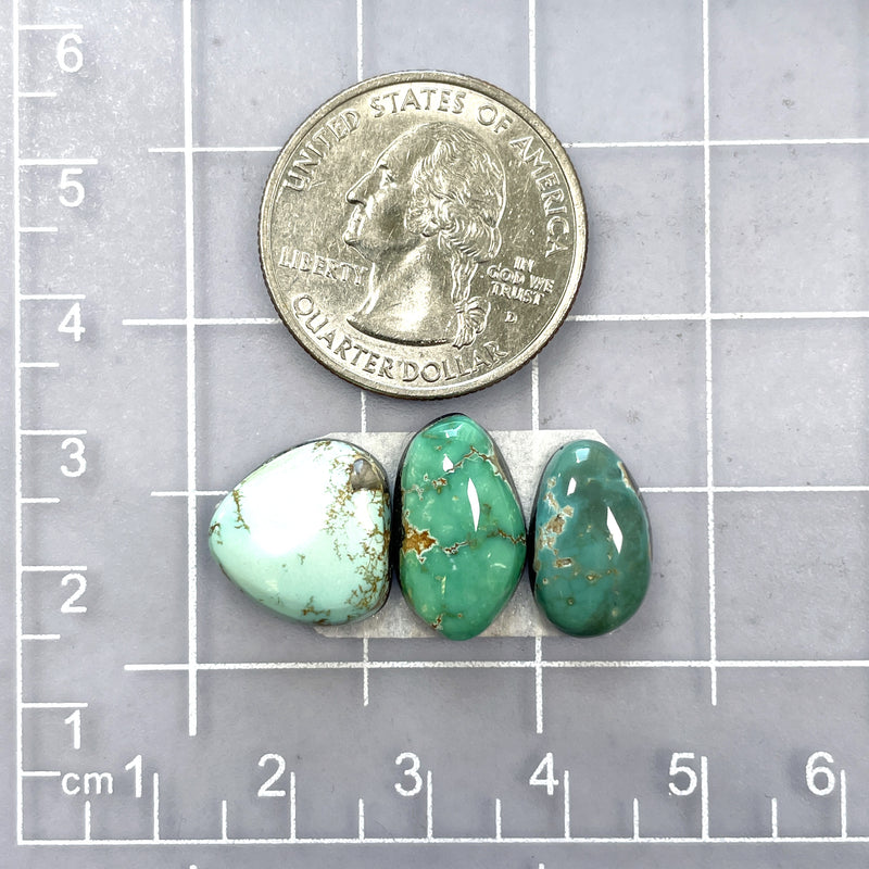 Small Mixed Freeform Carico Lake Turquoise, Set of 3 Dimensions