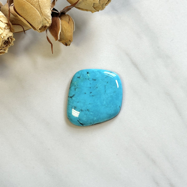 Large Sky Blue Freeform Kingman Turquoise Background