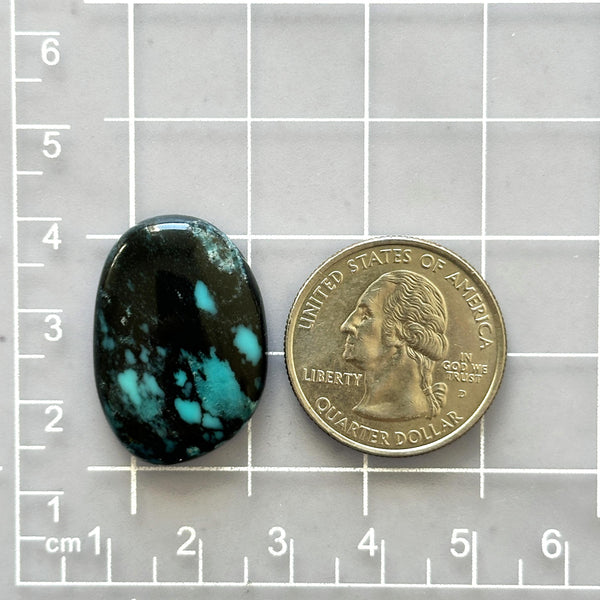 Large Ocean Blue Freeform Yungai Turquoise Dimensions