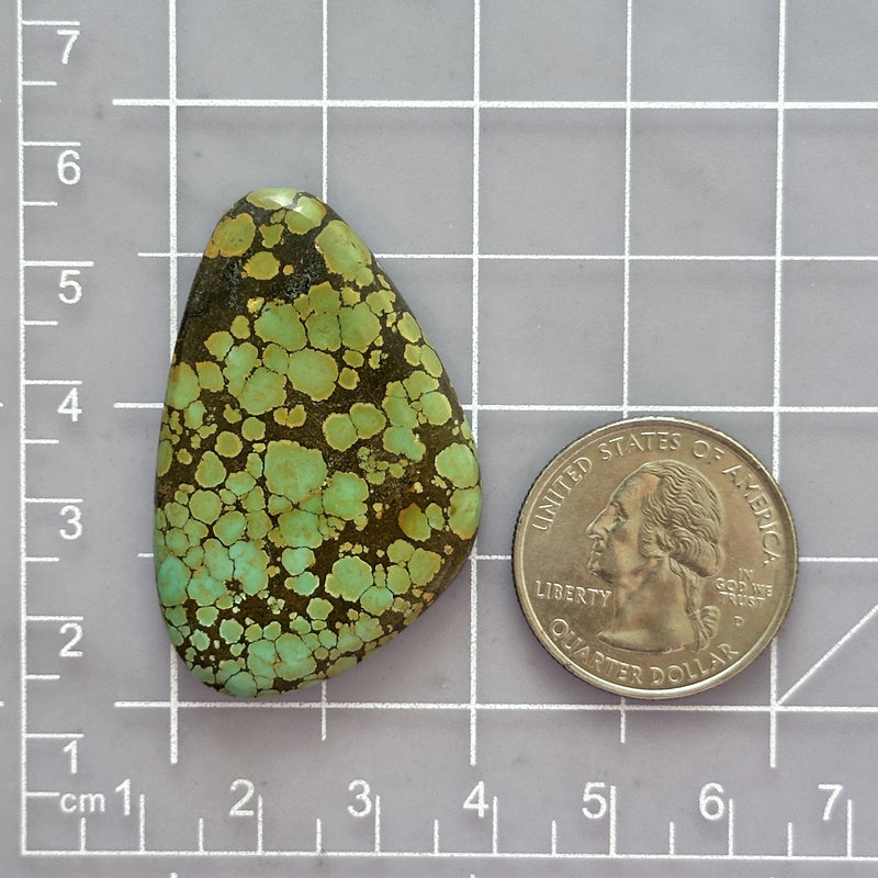Large Sea Green Freeform Bamboo Mountain Turquoise Dimensions