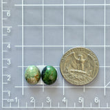 Small Mixed Oval Crescent Lake Variscite, Set of 2 Dimensions