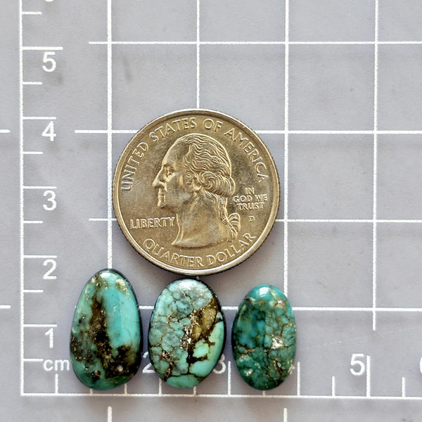 Large Sea Green Mixed Tyrone Turquoise, Set of 3 Dimensions