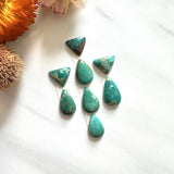 Small Deep Green Mixed Fox Turquoise, Set of 8 Background