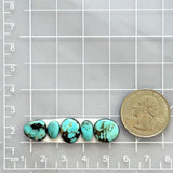 Small Sky Blue Freeform Blue Moon Turquoise, Set of 5 Dimensions