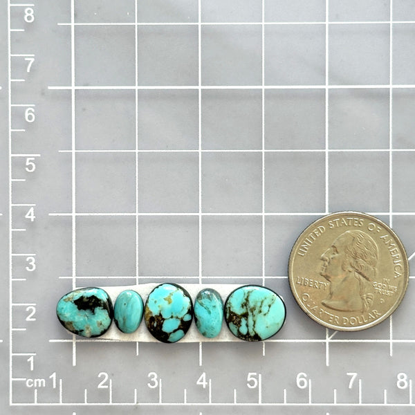 Small Sky Blue Freeform Blue Moon Turquoise, Set of 5 Dimensions