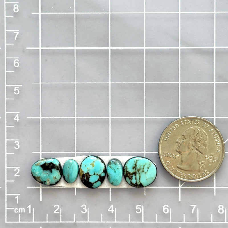 Small Sky Blue Freeform Blue Moon Turquoise, Set of 5 Dimensions
