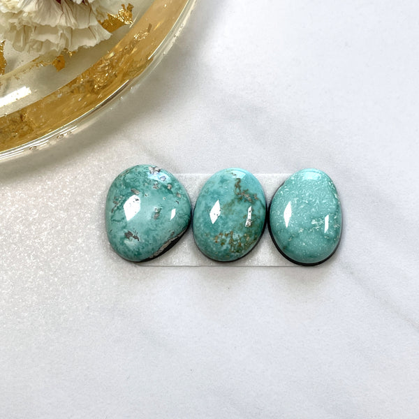 Small Mint Green Freeform Carico Lake Turquoise, Set of 3 Background