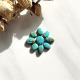 Small Sky Blue Mixed Tyrone Turquoise, Set of 9 Background