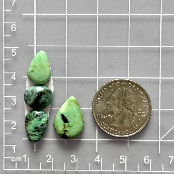 Medium Sea Green Mixed Crescent Lake Variscite, Set of 4 Dimensions