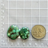 Large Bamboo Green Freeform Bamboo Mountain Turquoise, Set of 2 Dimensions