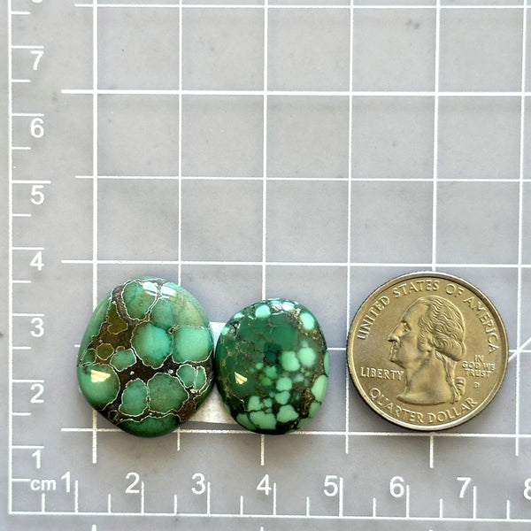 Large Bamboo Green Freeform Bamboo Mountain Turquoise, Set of 2 Dimensions