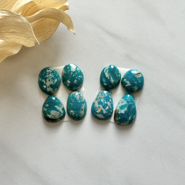 Small Mint Green Mixed Fox Turquoise, Set of 8 Background
