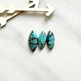 Medium Sky Blue Mixed Wild Horse Turquoise, Set of 3 Background