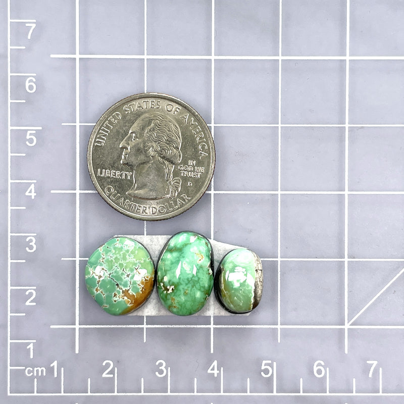 Small Mint Green Freeform Carico Lake Turquoise, Set of 3 Dimensions