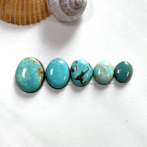 Small Mixed Freeform Tyrone Turquoise, Set of 5 Background