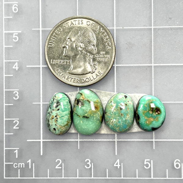 Small Mint Green Freeform Carico Lake Turquoise, Set of 4 Dimensions