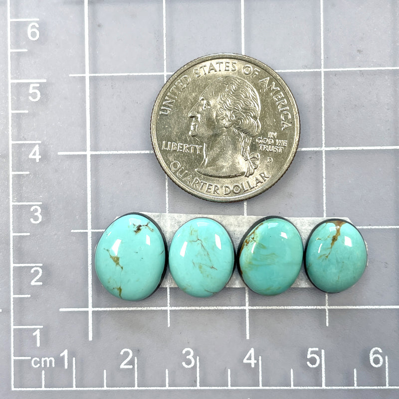 Small Sky Blue Freeform Tyrone Turquoise, Set of 4 Dimensions