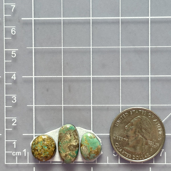 Small Mint Green Mixed Royston Turquoise, Set of 3 Dimensions