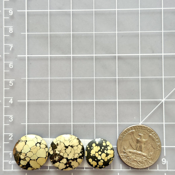 Medium Light Yellow Round Treasure Mountain Turquoise, Set of 3 Dimensions
