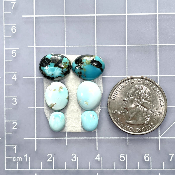 Small Mixed Freeform Mixed Turquoise, Set of 6 Dimensions