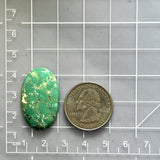 Large Deep Green Oval Namtso Lake Turquoise Dimensions