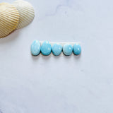 Small Sky Blue Mixed Sleeping Beauty Turquoise, Set of 5 Background