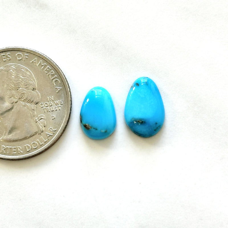 Small Sky Blue Mixed Sleeping Beauty Turquoise, Set of 2 Dimensions