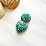 Large Sky Blue Freeform Yungai Turquoise, Set of 2 Background