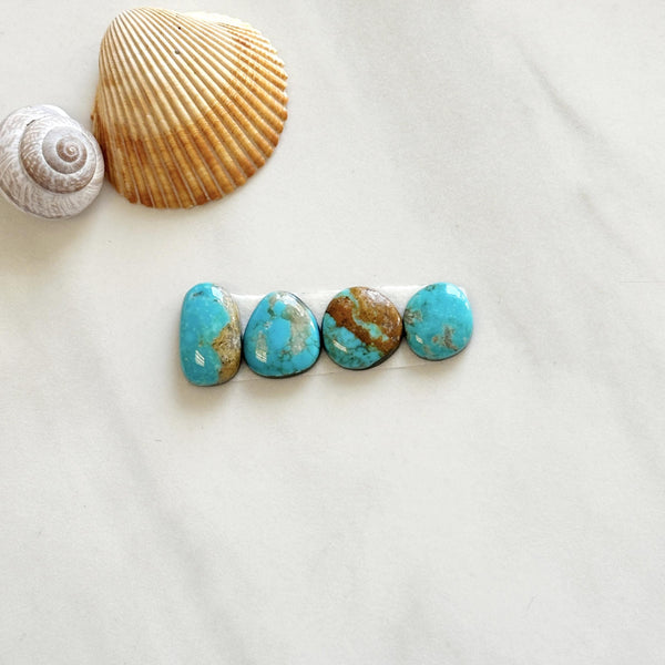 Small Sky Blue Freeform Royston Turquoise, Set of 4 Background