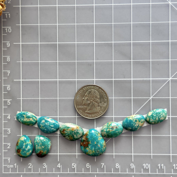 Small Sky Blue Mixed Fox Turquoise, Set of 9 Dimensions