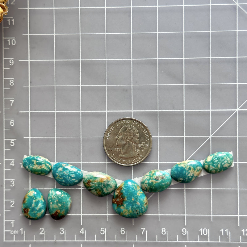 Small Sky Blue Mixed Fox Turquoise, Set of 9 Dimensions