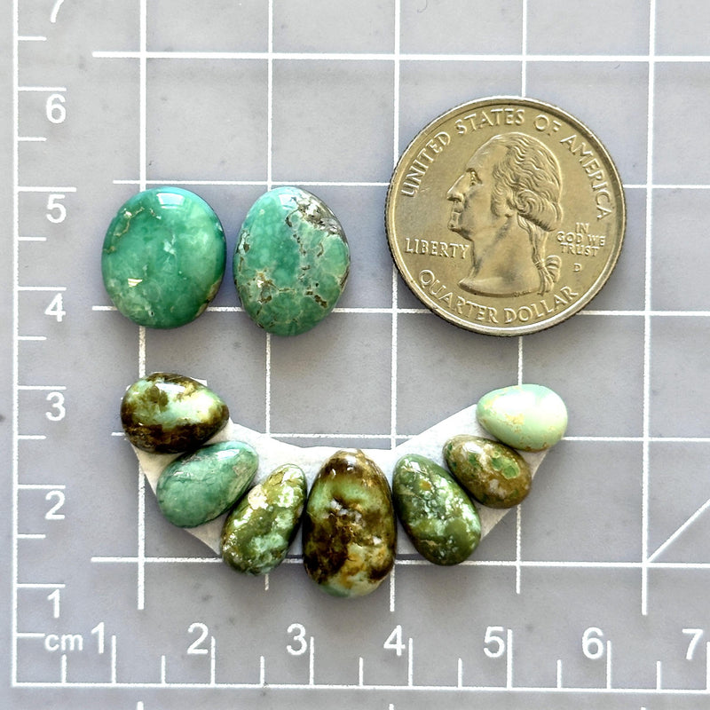 Small Mixed Mixed Broken Arrow Variscite, Set of 9 Dimensions