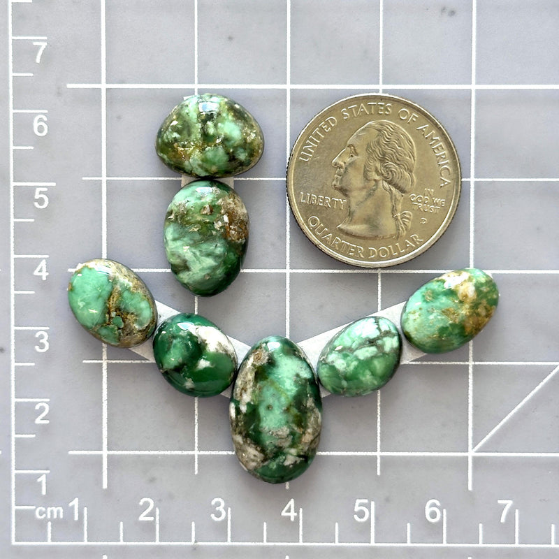 Small Mint Green Oval Broken Arrow Variscite, Set of 7 Dimensions