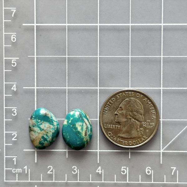 Small Sky Blue Freeform Fox Turquoise, Set of 2 Dimensions
