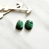 Medium Deep Green Mixed Crescent Lake Variscite, Set of 2 Background