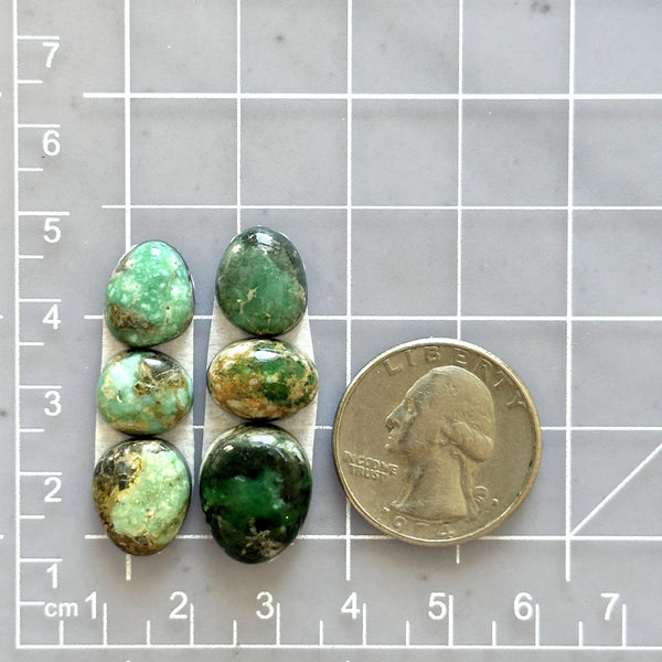Small Mixed Mixed Broken Arrow Variscite, Set of 6 Dimensions
