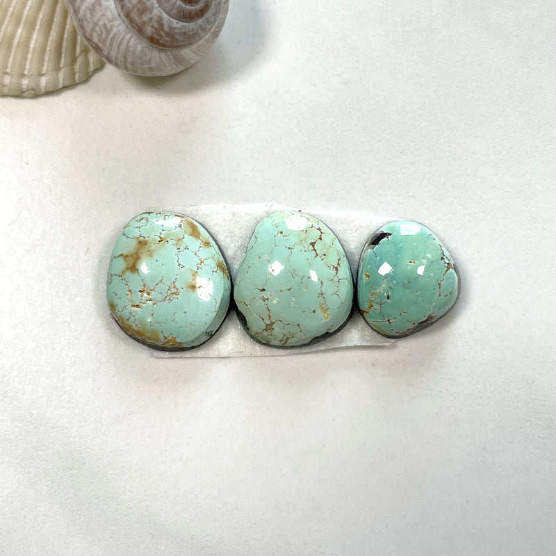 Small Faint Green Freeform Carico Lake Turquoise, Set of 3 Dimensions