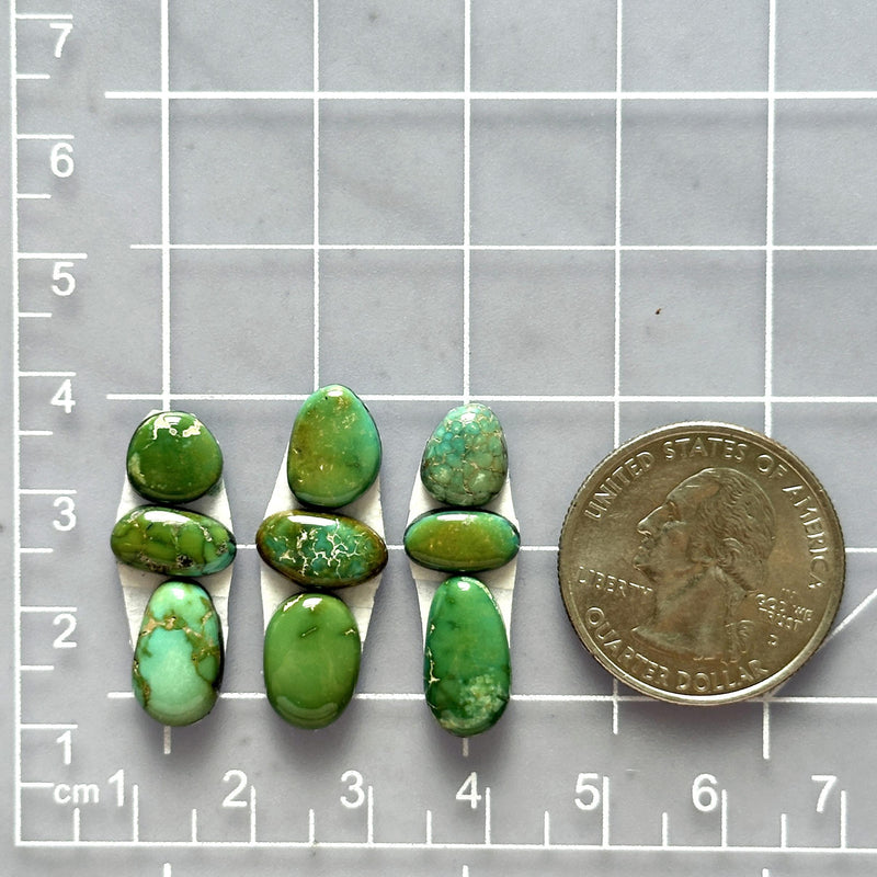 Small Deep Green Mixed Lone Mountain Turquoise, Set of 9 Dimensions
