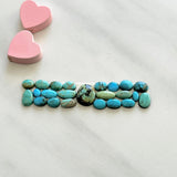 Small Mixed Mixed Mixed Turquoise, Set of 23 Background