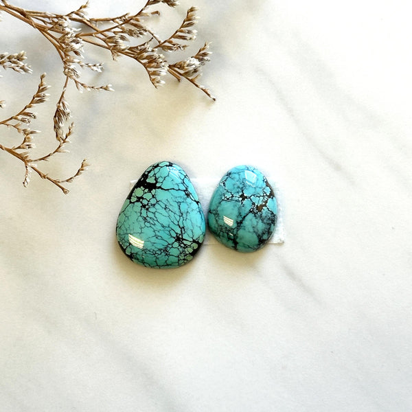 Large Sky Blue Freeform Number 8 Turquoise, Set of 2 Background