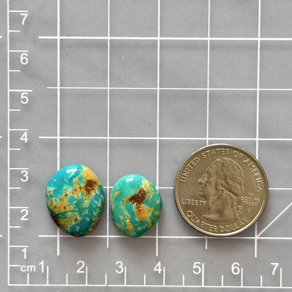 Medium Sky Blue Oval Royston Turquoise, Set of 2 Dimensions