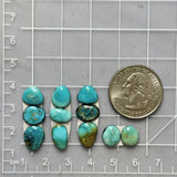 Small Mixed Mixed Lone Mountain Turquoise, Set of 11 Dimensions