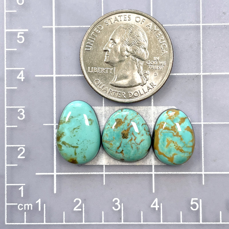 Small Sky Blue Freeform Tyrone Turquoise, Set of 3 Dimensions