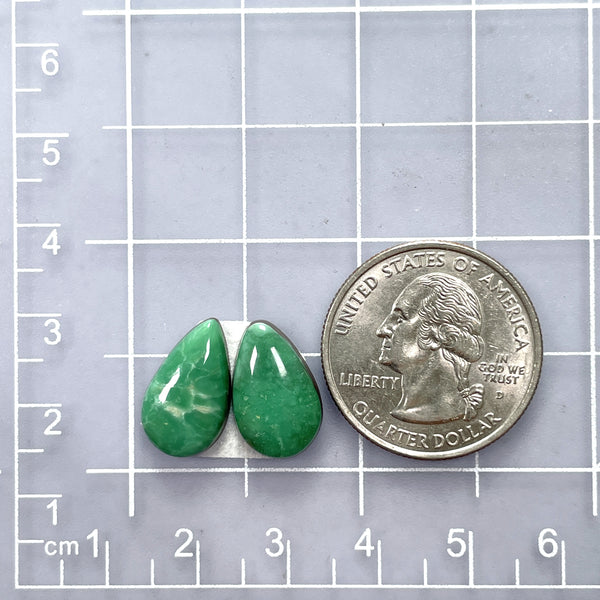 Small Deep Green Teardrop Lucid Variscite, Set of 2 Dimensions