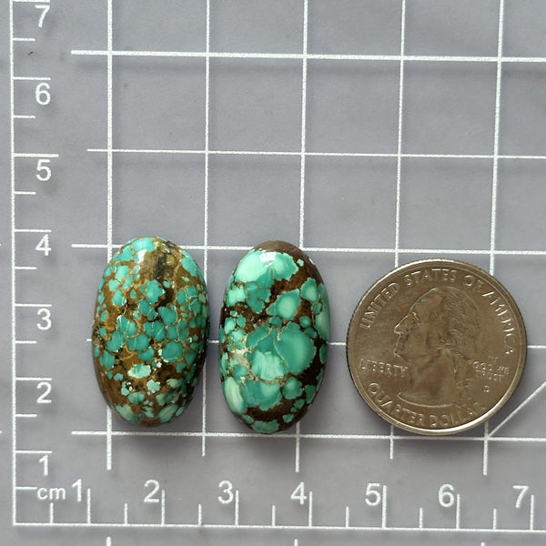 Large Sea Green Oval Namtso Lake Turquoise, Set of 2 Dimensions