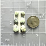 Small Light Yellow Mixed Crescent Lake Variscite, Set of 6 Dimensions