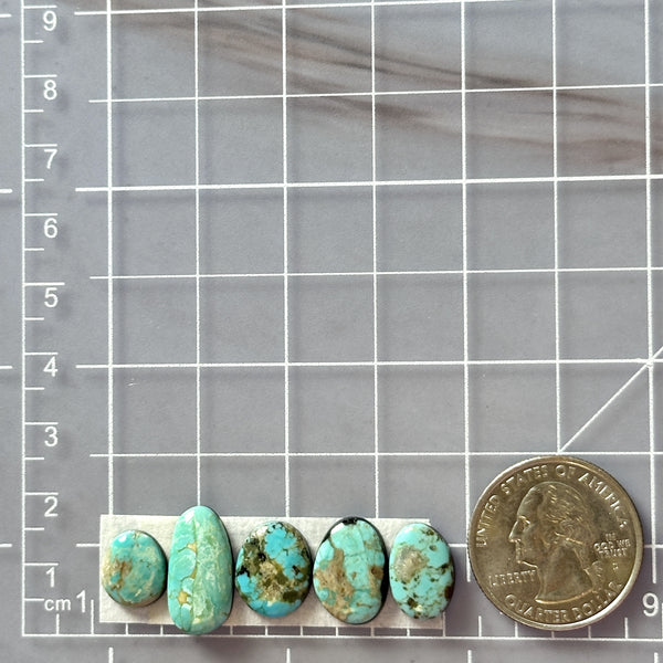 Small Sky Blue Freeform Number 8 Turquoise, Set of 5 Dimensions