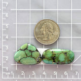 Large Bamboo Green Mixed Bamboo Mountain Turquoise, Set of 2 Dimensions