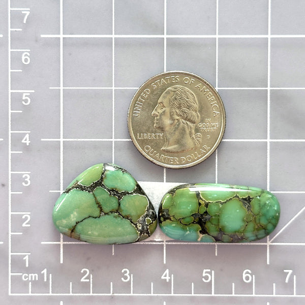 Large Bamboo Green Mixed Bamboo Mountain Turquoise, Set of 2 Dimensions