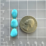 Small Sky Blue Freeform Sleeping Beauty Turquoise, Set of 3 Dimensions
